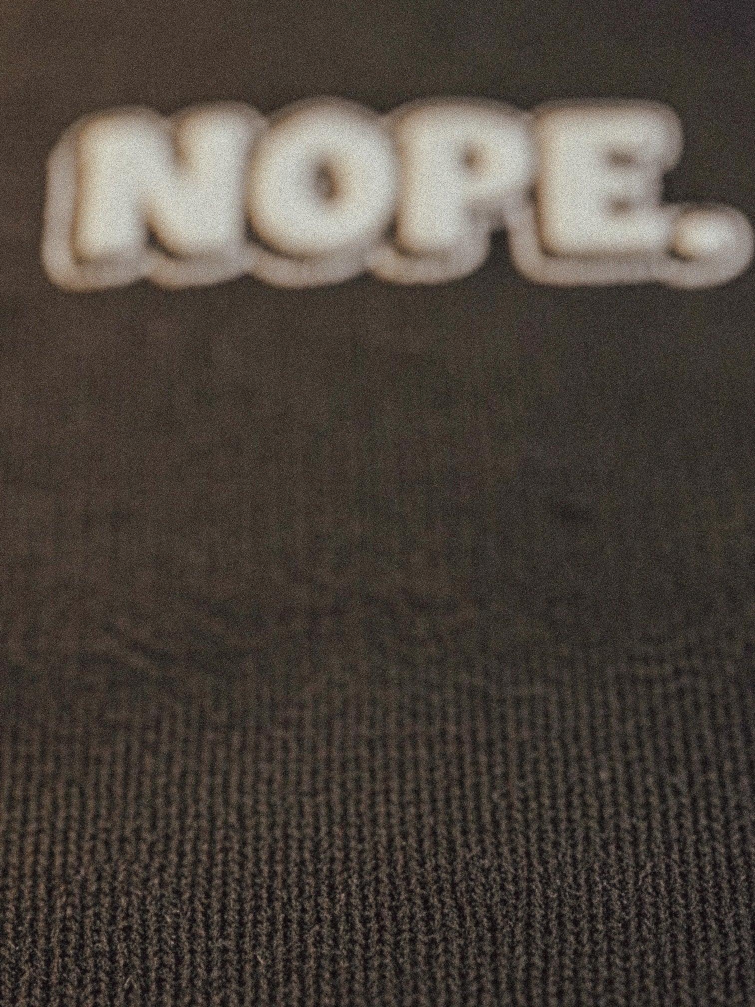 RIP Industries Original // Embroidered // Heavy Weight Nope Hoodie